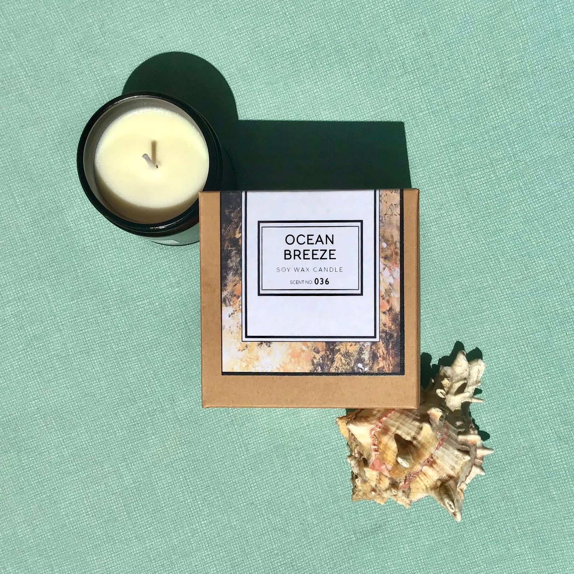 Ocean Breeze scented soy wax candle in a box with a seashell, perfect for a fresh coastal vibe.