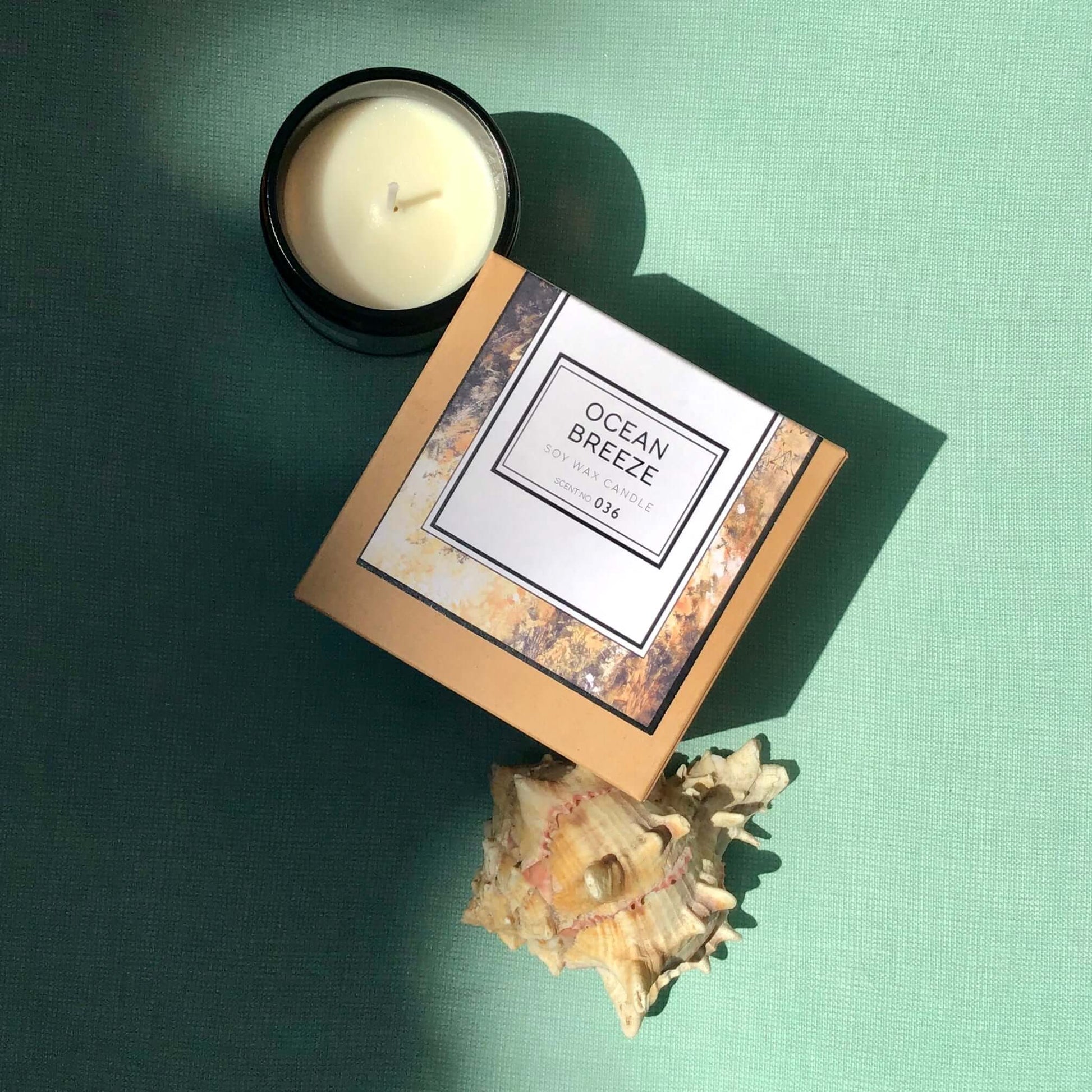 Ocean Breeze scented soy wax candle in gold box beside a black candle and a seashell on a green background.